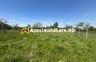 Teren intravilan de vanzare  Cornetu IF | ApexImobiliare.ro - 5