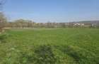 Teren Intravilan 1,5 Ha | Deschidere 180ml | T-7760 - 1