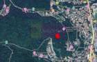 Teren de vanzare in Predeal - 2