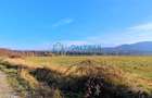 Teren intravilan, 1000 mp cu PUZ - locatie deosebita, Sibiu - Valea Avrigului - 3