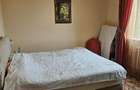 Ciopani vila 5 camere teren 4000 mp - 17