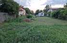 Teren 1000mp Dragomiresti-Vale - 12