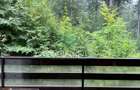 Refugiu montan in Sinaia – Confort, natura si priveliste spectaculoasa - 1