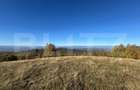 Teren extravilan 54.722 mp in Târsa - 3