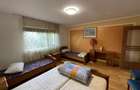 Cabana/Vila de inchiriat Valea Budului, Margineni - 16