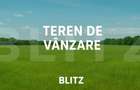 Teren 5.000 mp Curtești – Oportunitate de investiție în zonă de dezvoltare - 1