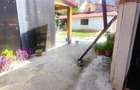 Casa 3 camere,   teren generos 579 mp, zona linistita Florilor - 13