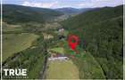 Teren intravilan 2.800 m² în Câmpu Cetății – liniște și natură - 2