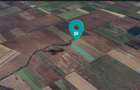 TEREN ARABIL DE 8.700 MP SACOȘU TURCES - 1