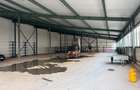 Hala de inchiriat industriala 1000/2000 si 5000 m2 - 3