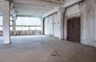 Clădire industrială cu potențial mixt – producție, depozitare, servicii –Toplița - 7
