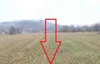 Teren de vanzare 7.123 mp intravilan, Buhusi - 13