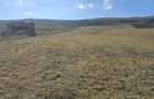 Teren de 10.100 mp, zona de case, in Valea Chintaului - 1