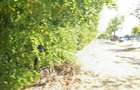 Vânzare teren intravilan 24.460 mp – Șoseaua Găești | Zonă industrială - 4