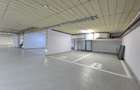 Apartament Primaverii - curte 100mp - 20
