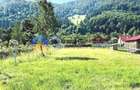 TEREN intravilan 3600 mp  PÂNGǍRAȚI - PRELUCA - 3