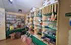Spatiu comercial 20 mp in Nicolina - 2