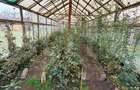 Casă de vânzare – proprietate generoasă 2.285 m2 teren, 230.000 euro - 8
