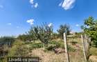 Proprietate de vanzare | Tileagd | jud. Bihor - 3
