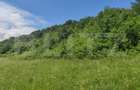 Teren, zona Gusterita , 28.800 mp