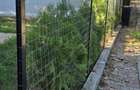 Casa\Mihailesti\Centrala\Izolata\25km Bucuresti\Zona linistita - 18