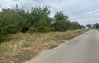 Teren 1000m Jilava  Str.Garii,Asfaltat ,Utilitati - 3