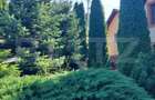 Casă de vânzare în Vatra Dornei, 65 mp amprenta la sol