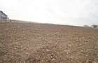 Teren intravilan - 17000 mp - zona Lazu - 2