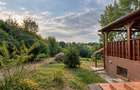 Casă de lemn pe malul lacului, Balotești — 7 camere - 8