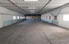 Hala industriala versatila,spatii cazare, platforma betonata,2.300 mp,Halchiu - 2