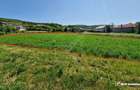 Teren intravilan 2000 mp – Popesti (Baciu) Ideal pentru casă, grădină și livada - 5