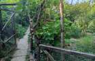 Ilidia, Casa 8 Incaperi, 744mp Teren, Zona Turistica, Pret Usor Negociabil - 23