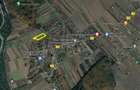 Domnesti-Teghes, 10000mp, 50X200, intravilan, acces 2 strazi, utilitati in zona - 2