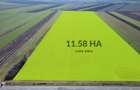Teren folosinta conditii speciale | Oportunitate investitie | Nadlac - 2