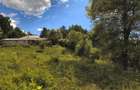Teren pitoresc, linistit, in zona impadurita de deal - 10