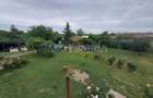 Casa individuala comuna  Peciu -Nou - 5