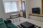 THEODOR PALLADY | 2 CAMERE | CENTRALA | HILS BRAUNER | PARCARE | AC | METROU - 3
