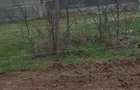 Teren de vanzare Comuna Comana-Giurgiu - 8