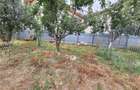 Teren intravilan 3650 mp, zona Serbanesti - 4