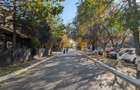 Teren 19.470 mp, investitie ideala, Green City -1 Decembrie, Ilfov - 15