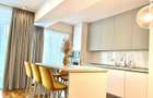 Herastrau Nordului Penthouse 160mp - 6