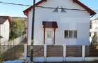 CASA+SPATIU PENTRU AFACERE/LOCUIT IANCU JIANU - 16