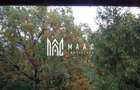 Apartament 3 camere | 2 bai | Renovat | Balcon | V. Aurie - 26