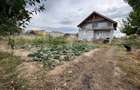 Casa individuala de vânzare, 264 mp și 1005 mp teren - zona Ampoi 3, Alba Iulia - 5