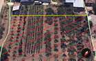 Casă 4 camere+teren 1.750 mp în Mitreni-Valea Roșie+casa secundara+veg. matura - 6