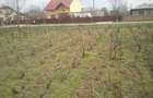 25E mp Teren intravilan  Chiscani drum asfaltat 3500 mp deschidere 14m - 1