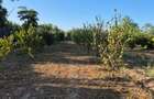 Casă de vânzare în comuna Făcăeni, județul Ialomița – teren 2600 mp, casă nouă, 