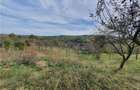 Casă Tradițională Săsească ?n loc.Aciliu cu 2974mp tere - 22