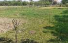 Casă renovată complet – Aluniș (15 km de Arad) - 2