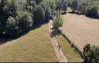 Teren 5000 mp, pretabil cabana de weekend, Sinca Noua